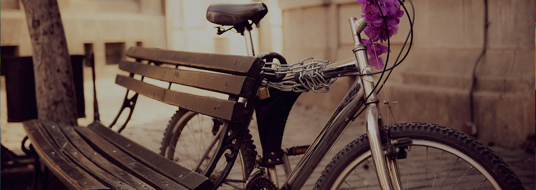 In bicicletta fino ad Auschwitz