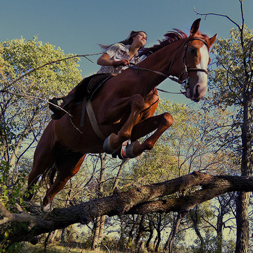 Cavalcando